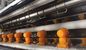 la macchina automatica piena di produzione del tubo del PVC, SpA controlla le macchine di plastica dell'estrusione di tubi